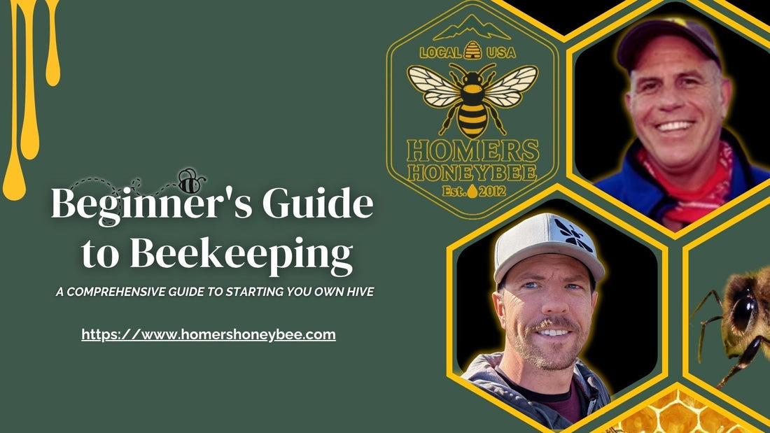 Beginner’s Guide to Beekeeping