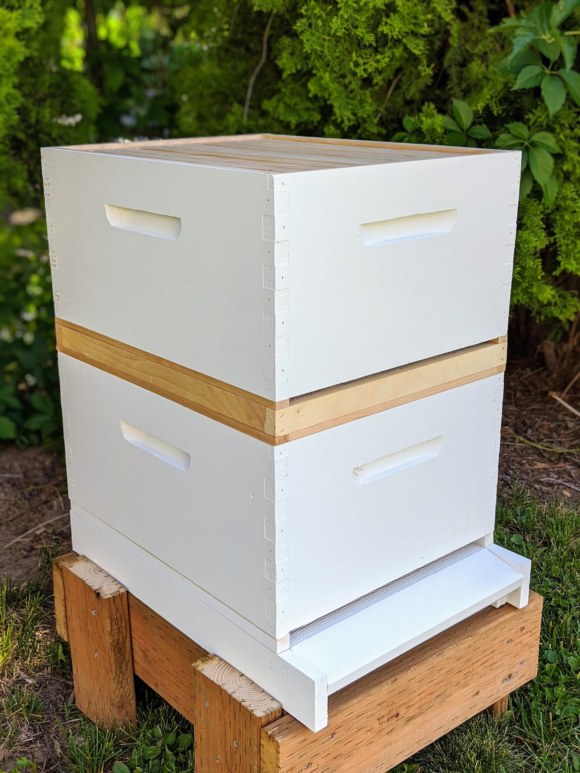 Hive Kits
