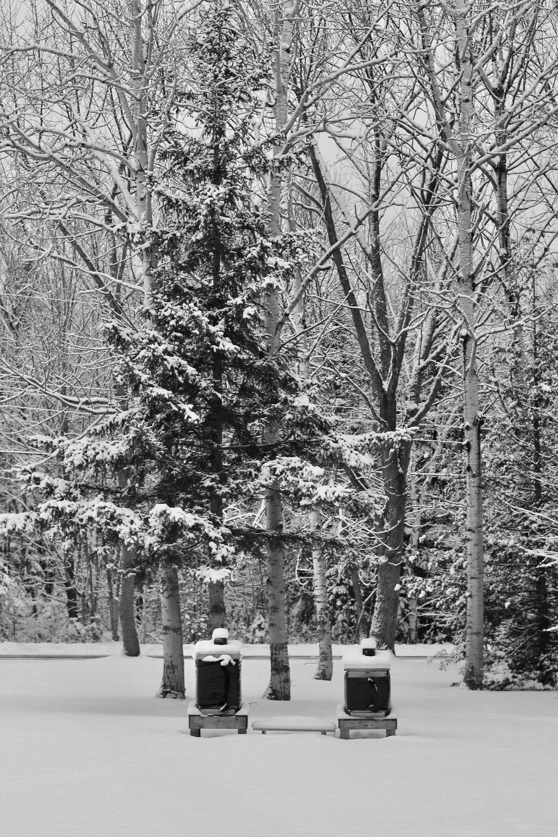 Bee Cozy (2 Deeps) image 2