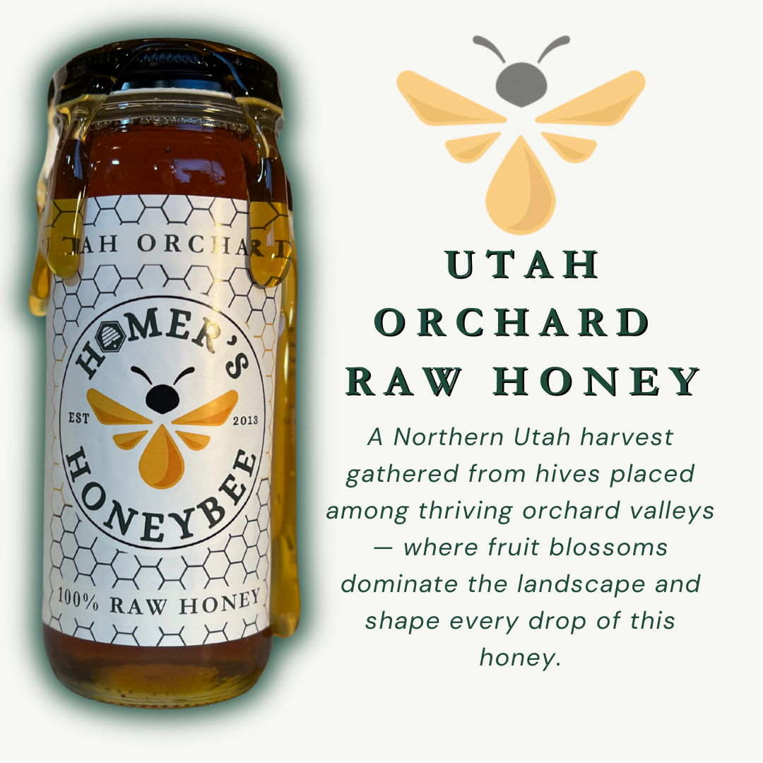 Utah Orchard Raw Honey – Homer's Honeybee