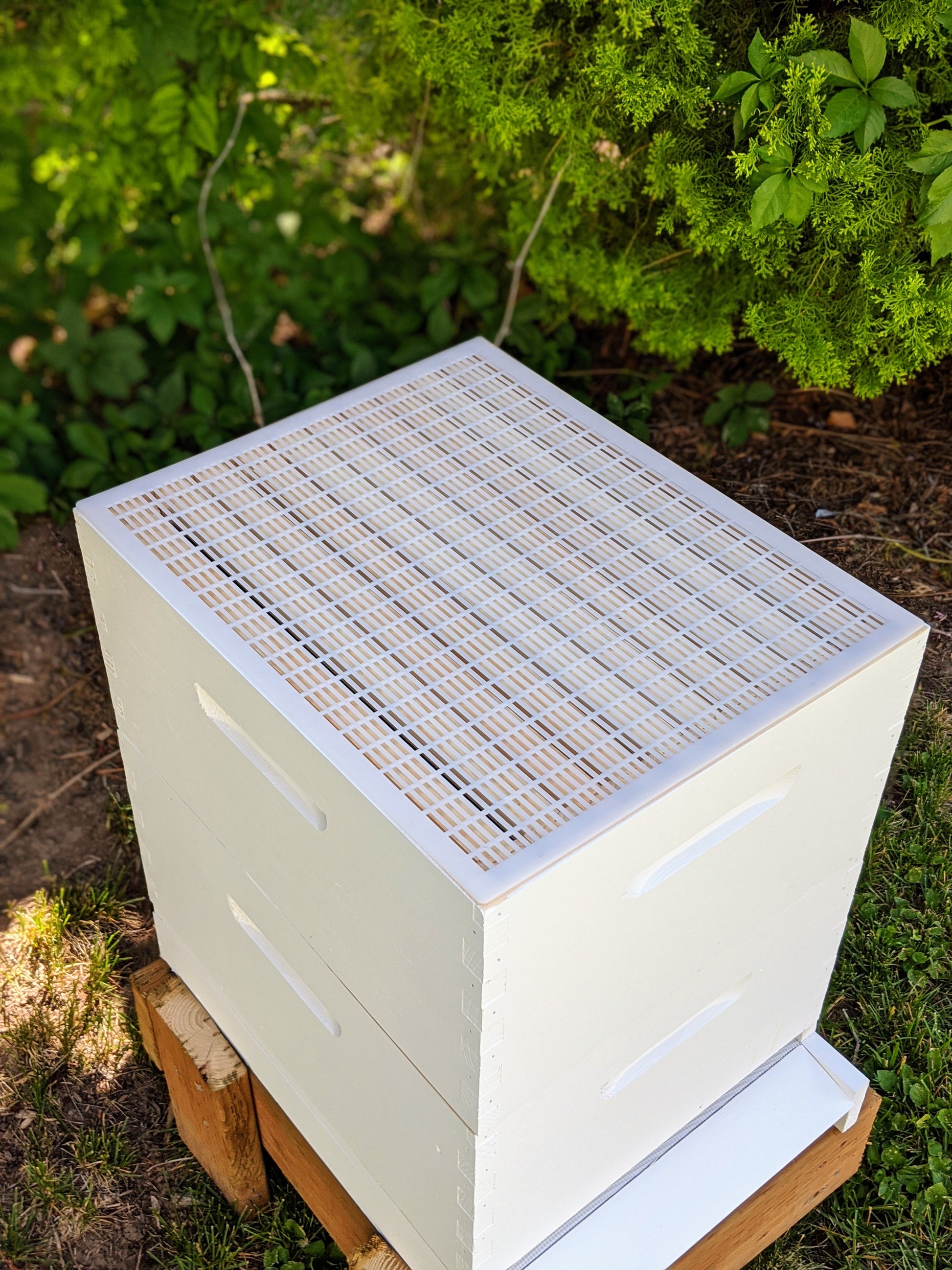 Plastic Queen Excluder image 1