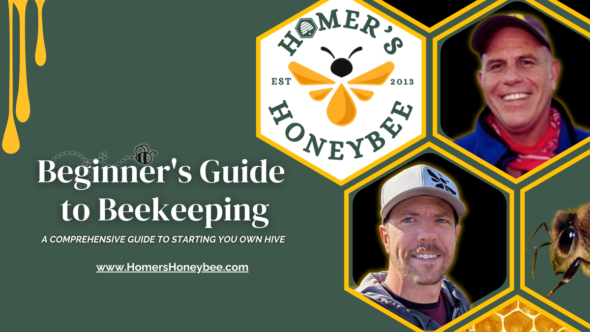 Beginner’s Guide to Beekeeping