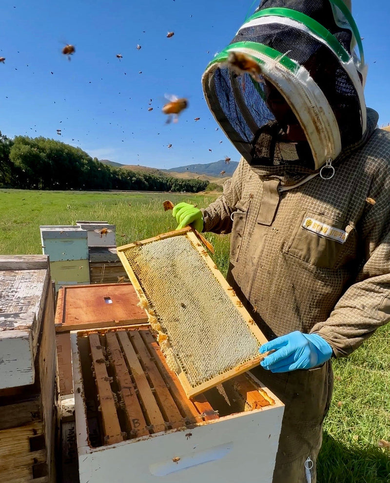 Jackets, Suits, & Tools