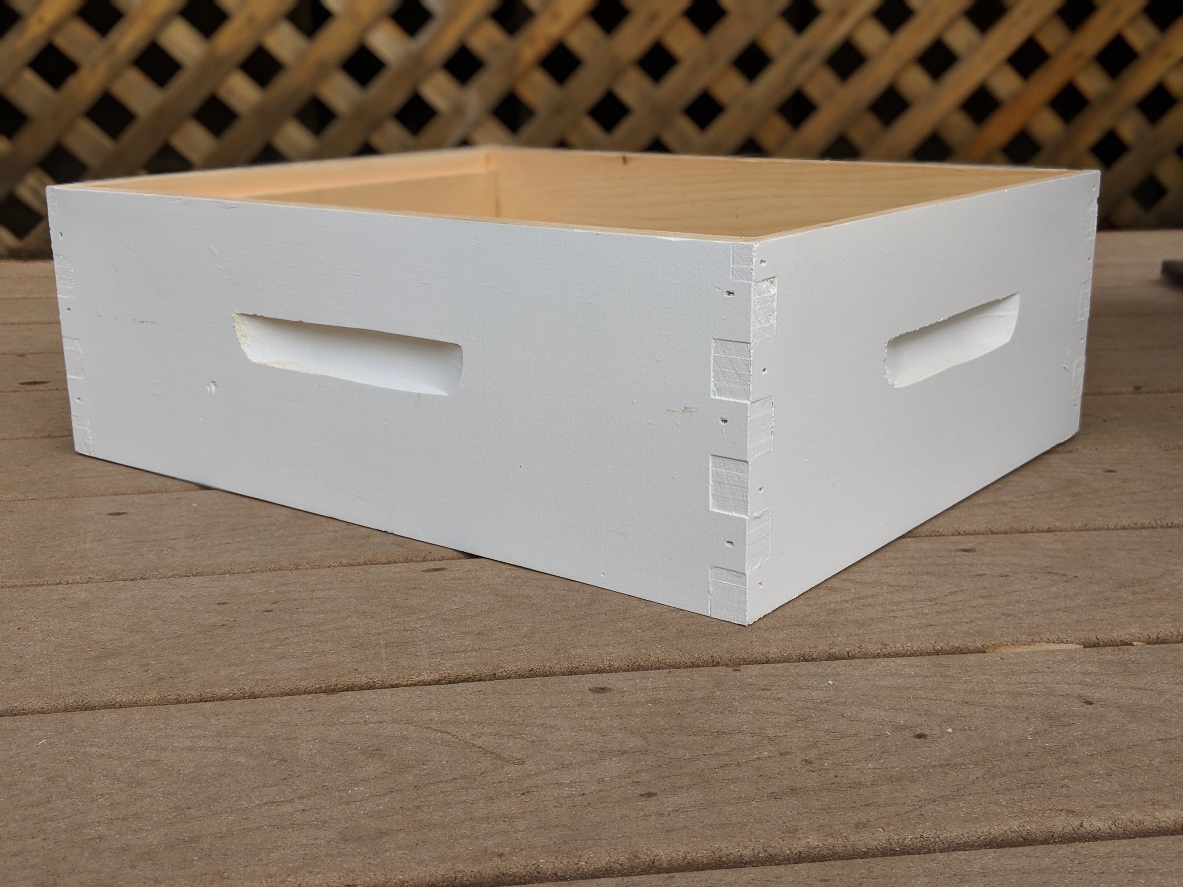 Medium Box Assembled and Painted