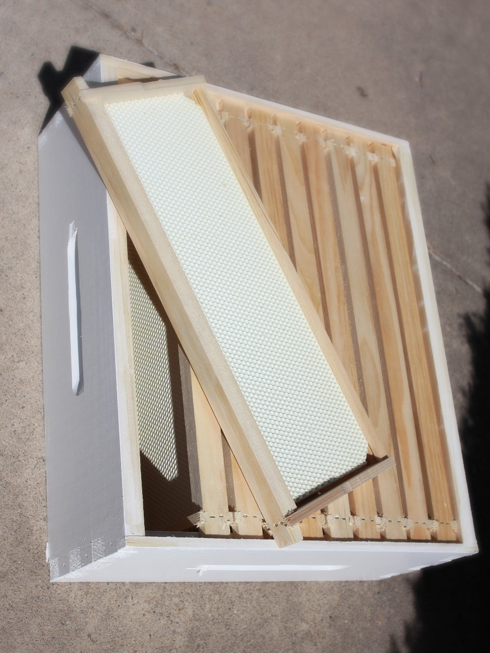 Medium Box with 10 Frames image 0