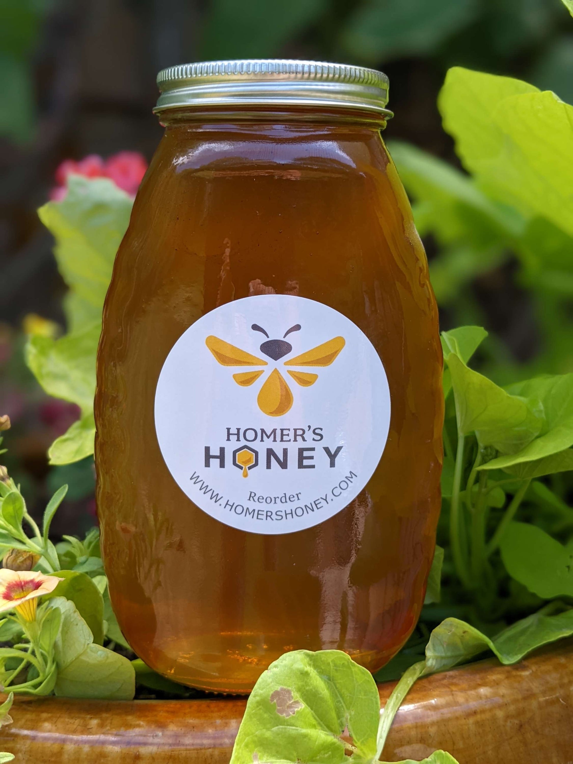 Northern Utah Raw Honey - 2 lb. image 0