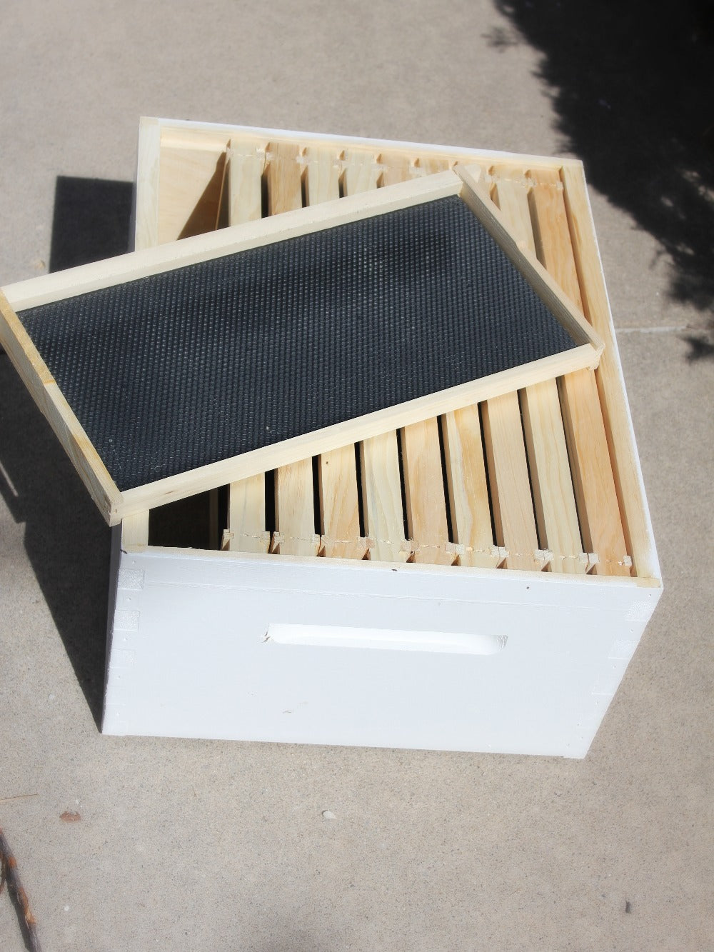 Deep Box with 10 Frames image 0