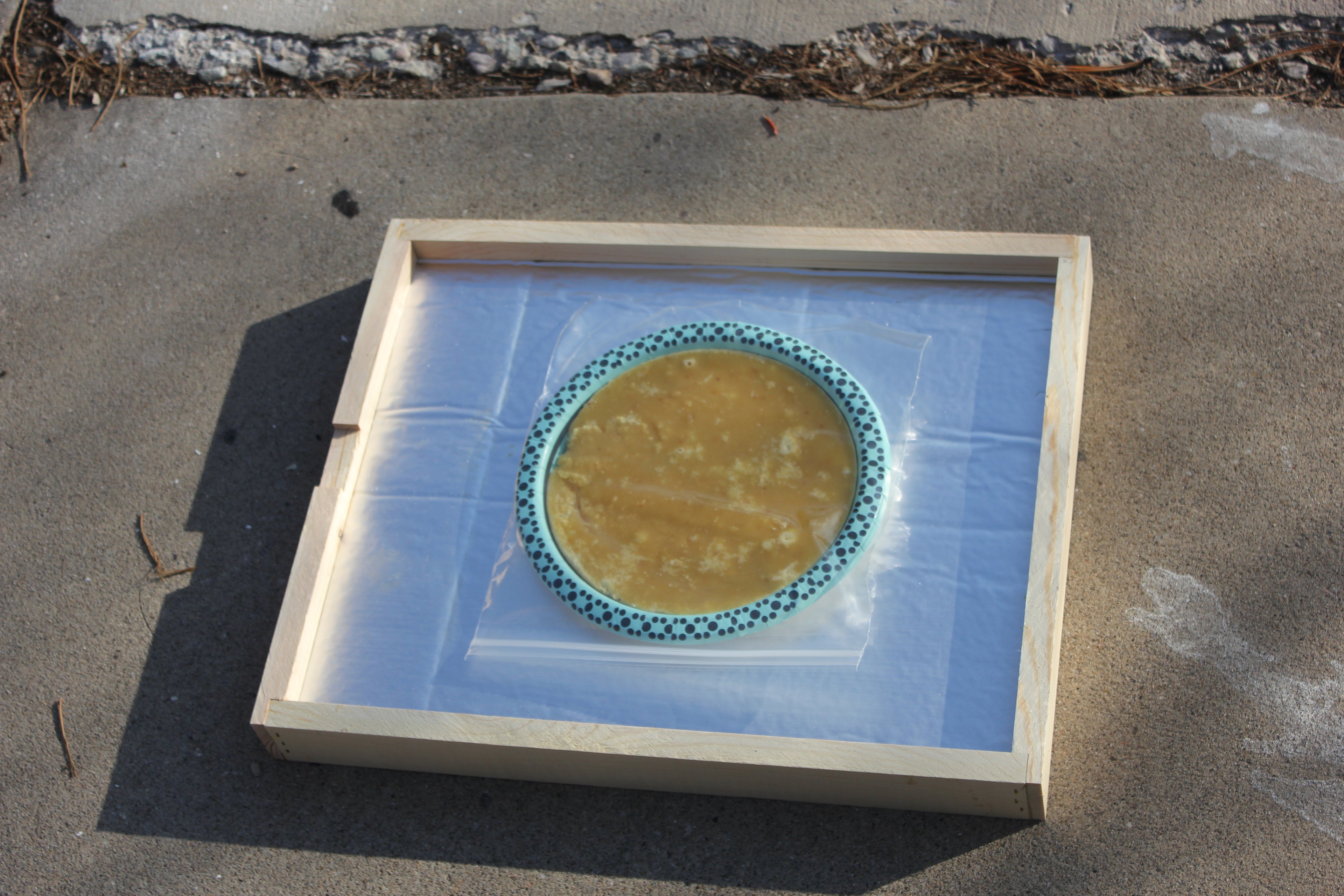 Winter Feeding Board "Bee Beanie" With 1 Fondant Patty image 0