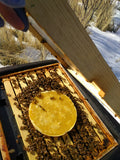 Fondant Winter Feeding Patty (for"Bee Beanie")