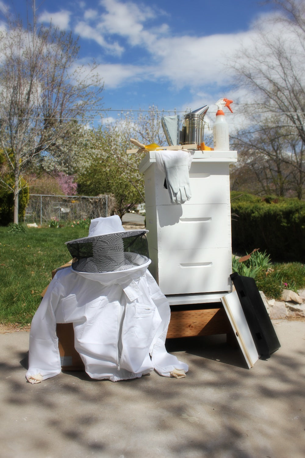 Full Hive Starter Package image 0
