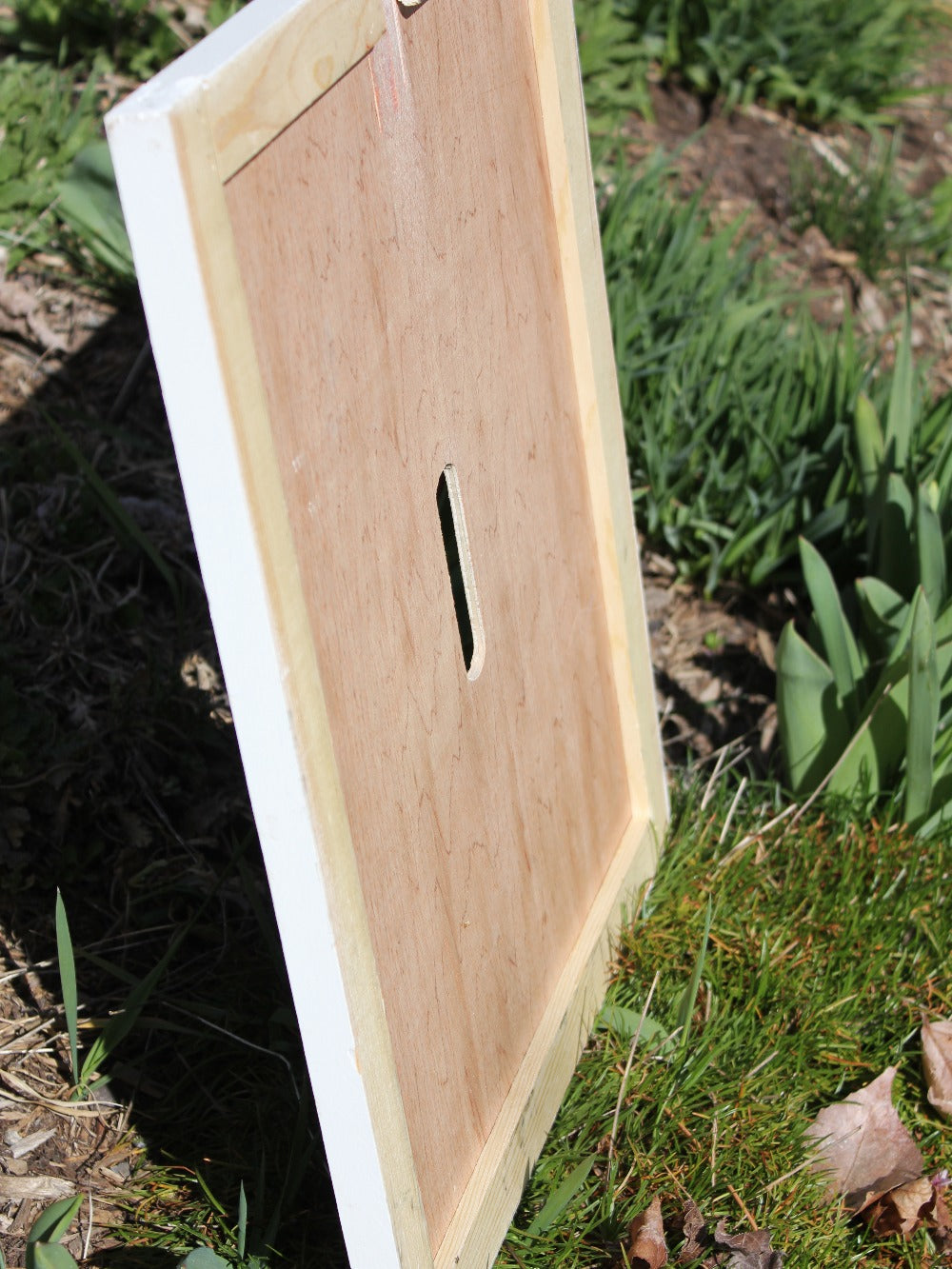 Raised Inner Cover image 1