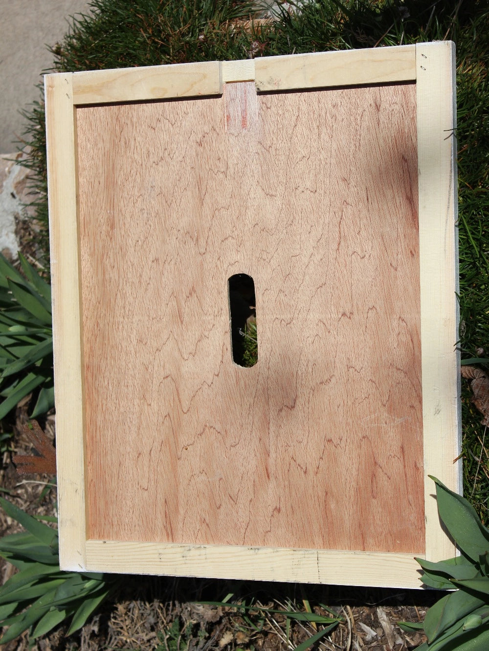 Raised Inner Cover