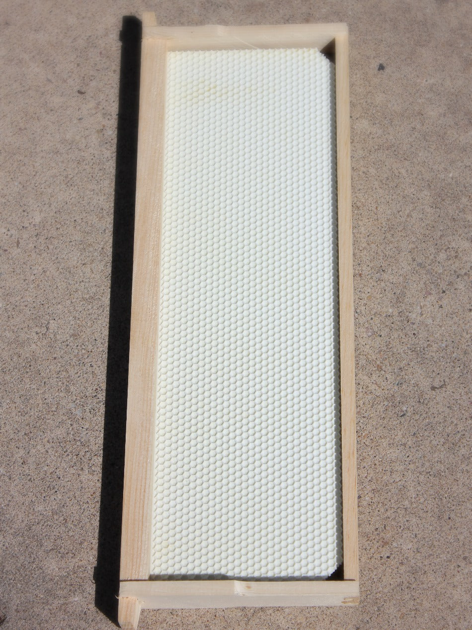 Frame - Medium Assembled with Wax Coated Foundation image 0