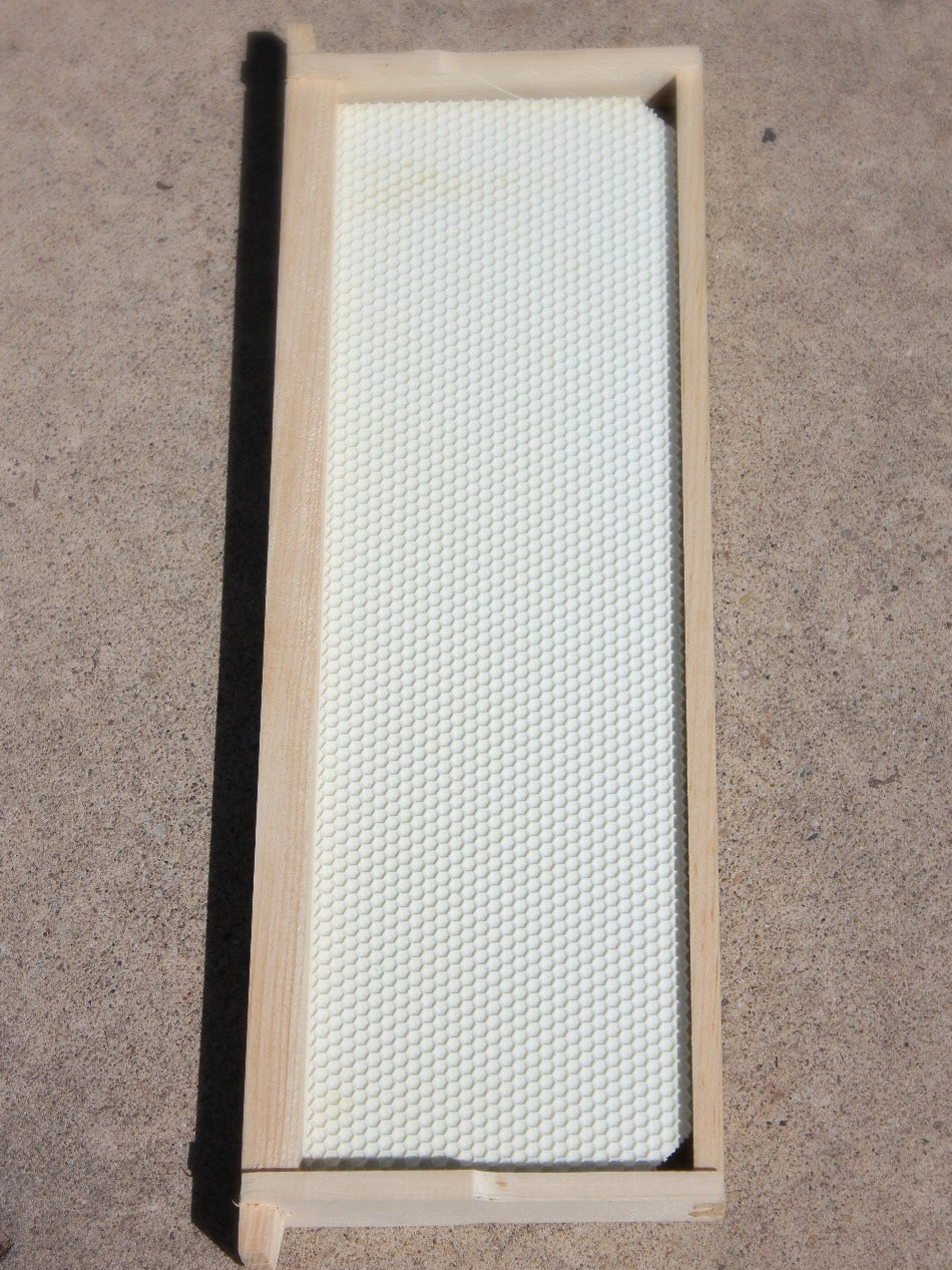 Frame - Medium Assembled with Wax Coated Foundation