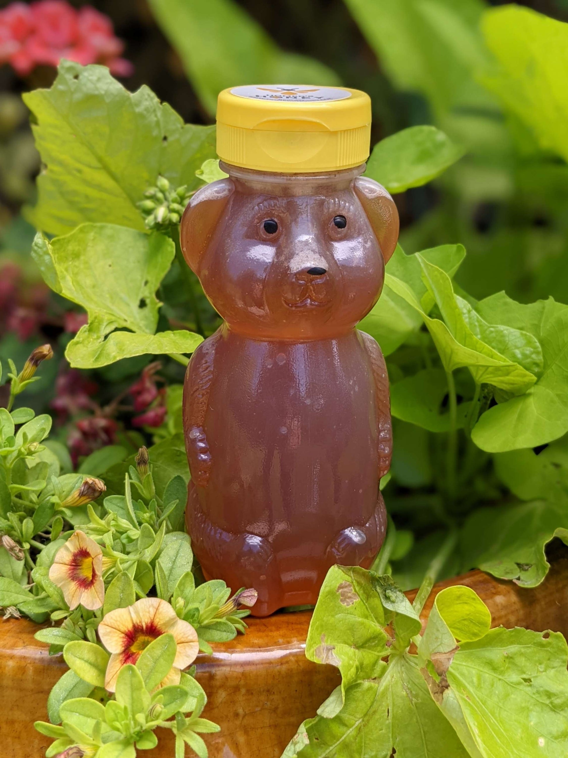 Northern Utah Raw Honey - 12 oz. image 0
