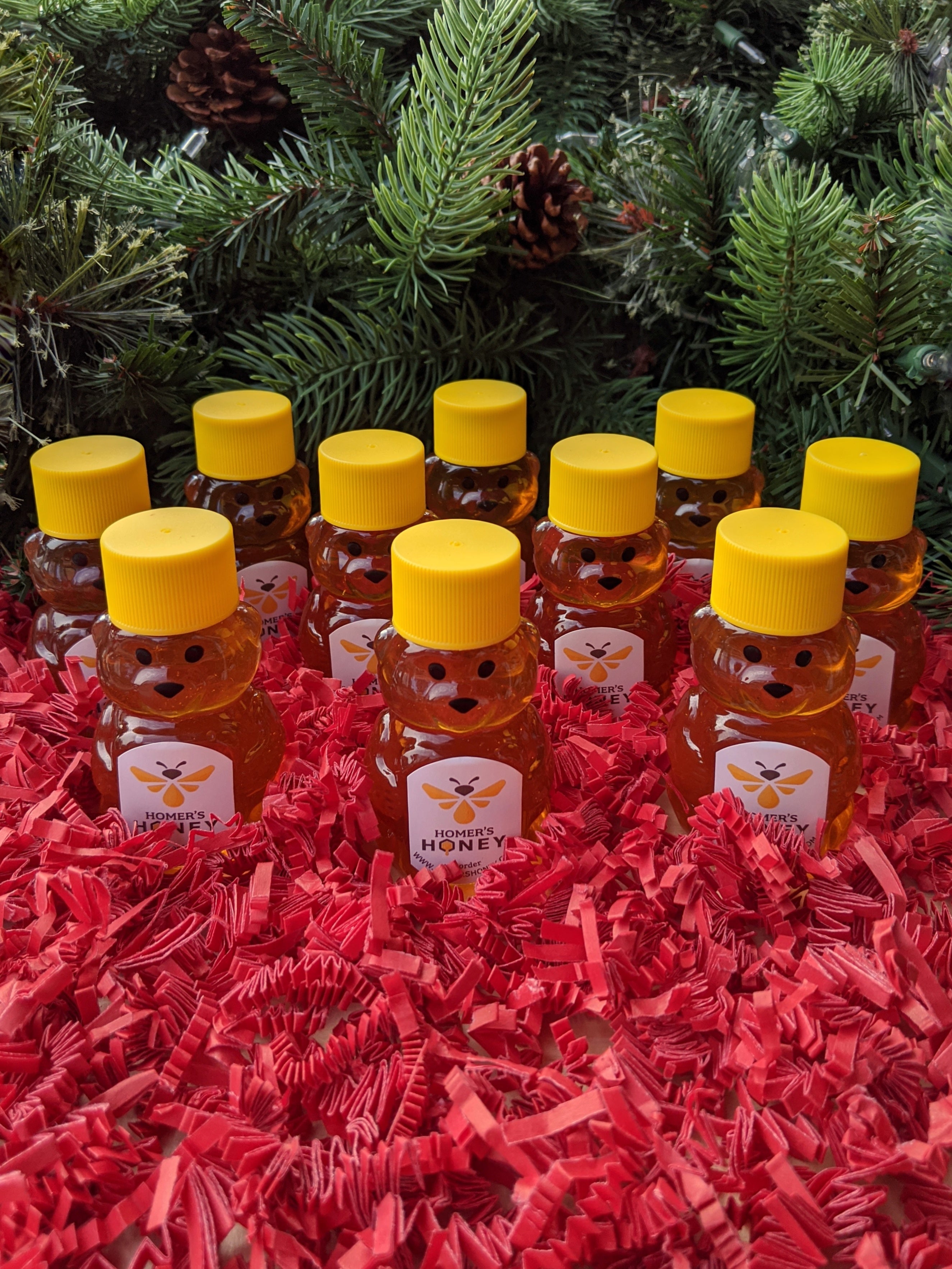 10 Raw Honey Mini Bears - 2 oz. image 0