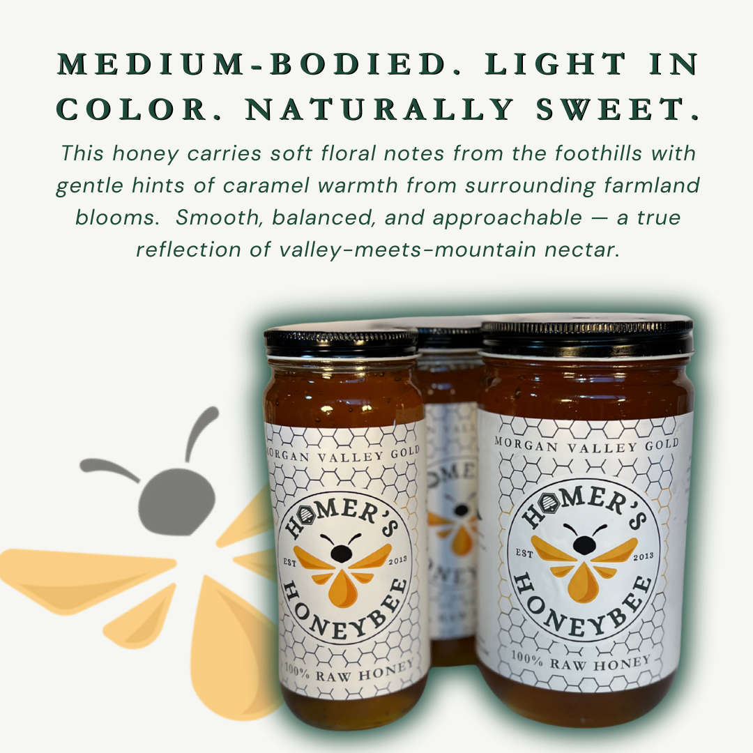 Morgan Valley Gold Raw Honey