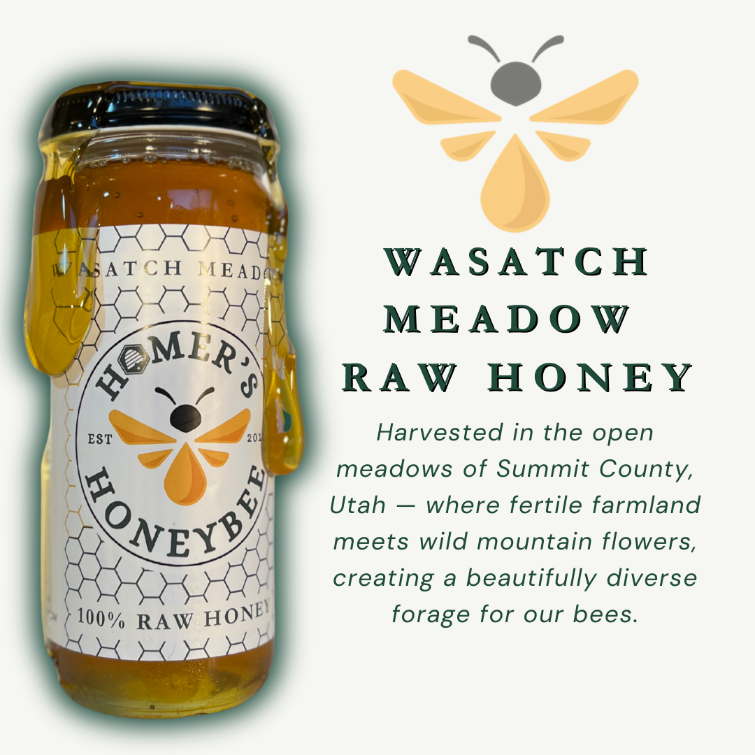 Wasatch Meadow Raw Honey