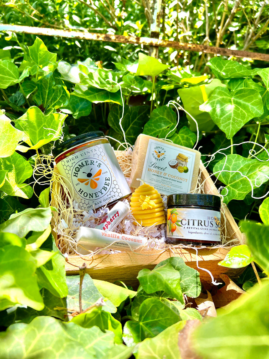 The Hive Collection Gift Box