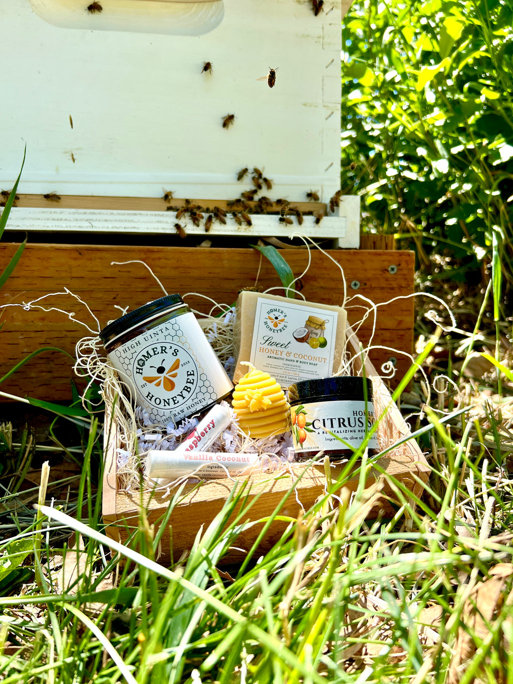 The Hive Collection Gift Box