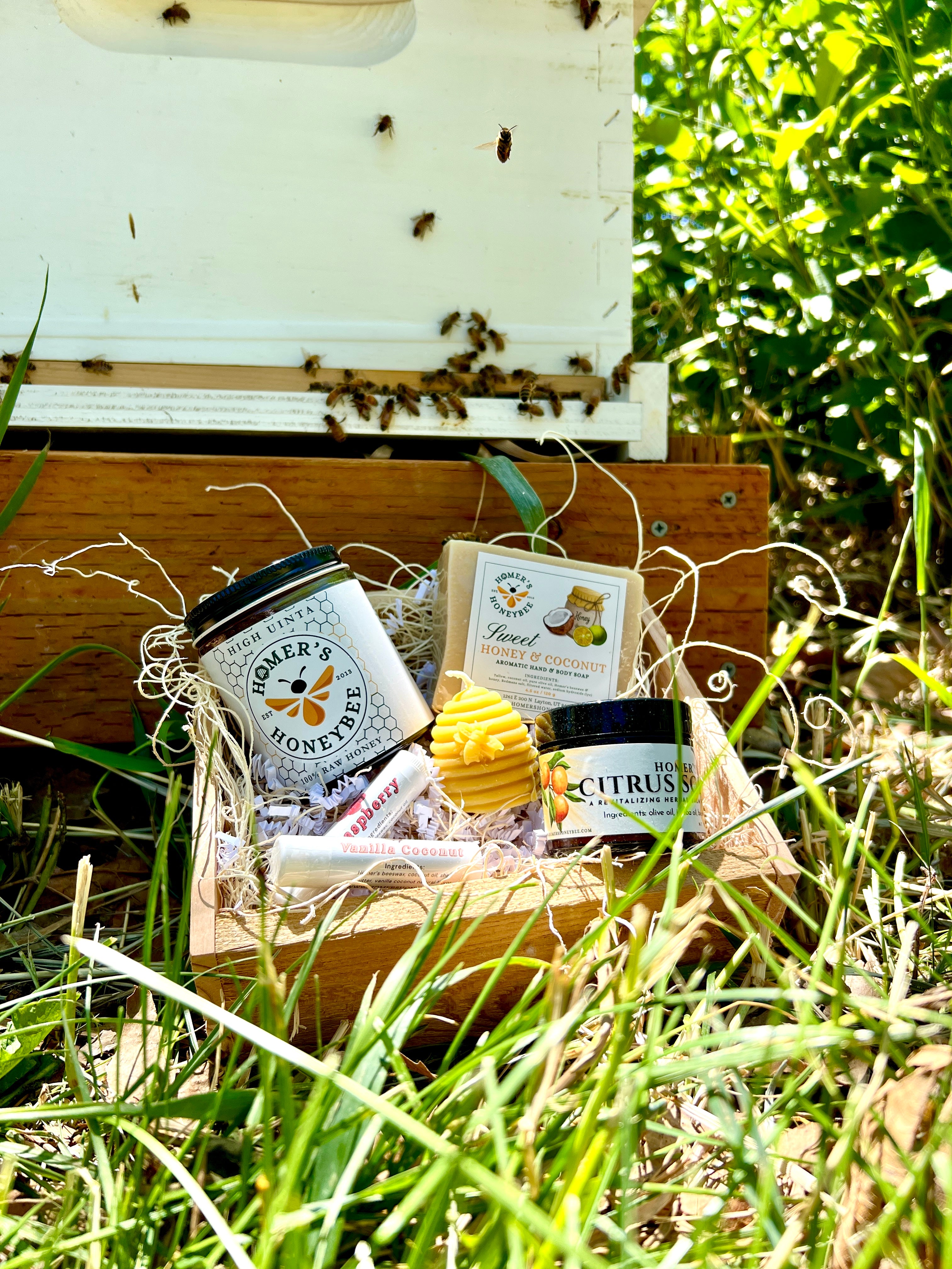 The Hive Collection Gift Box