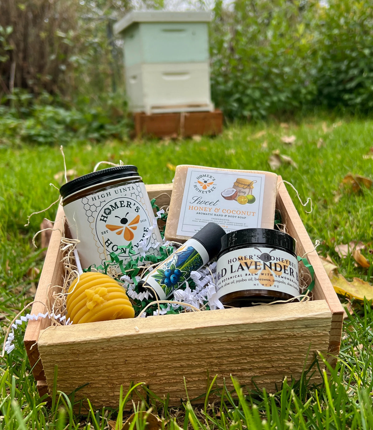 The Hive Collection Gift Box