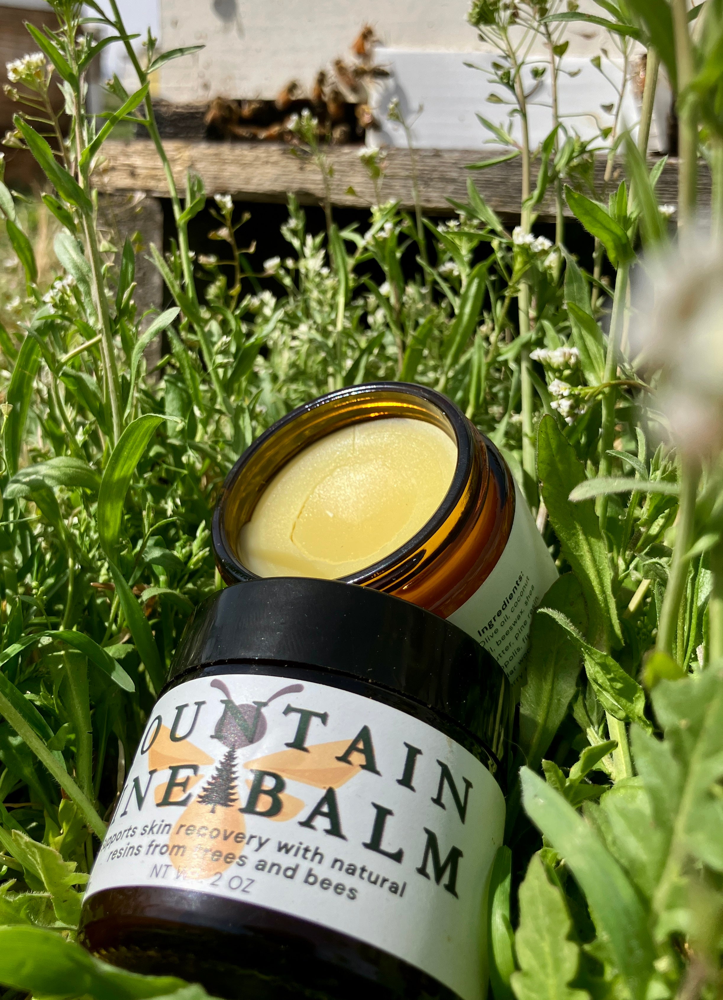Mountain Pine Balm (Topical Salve)