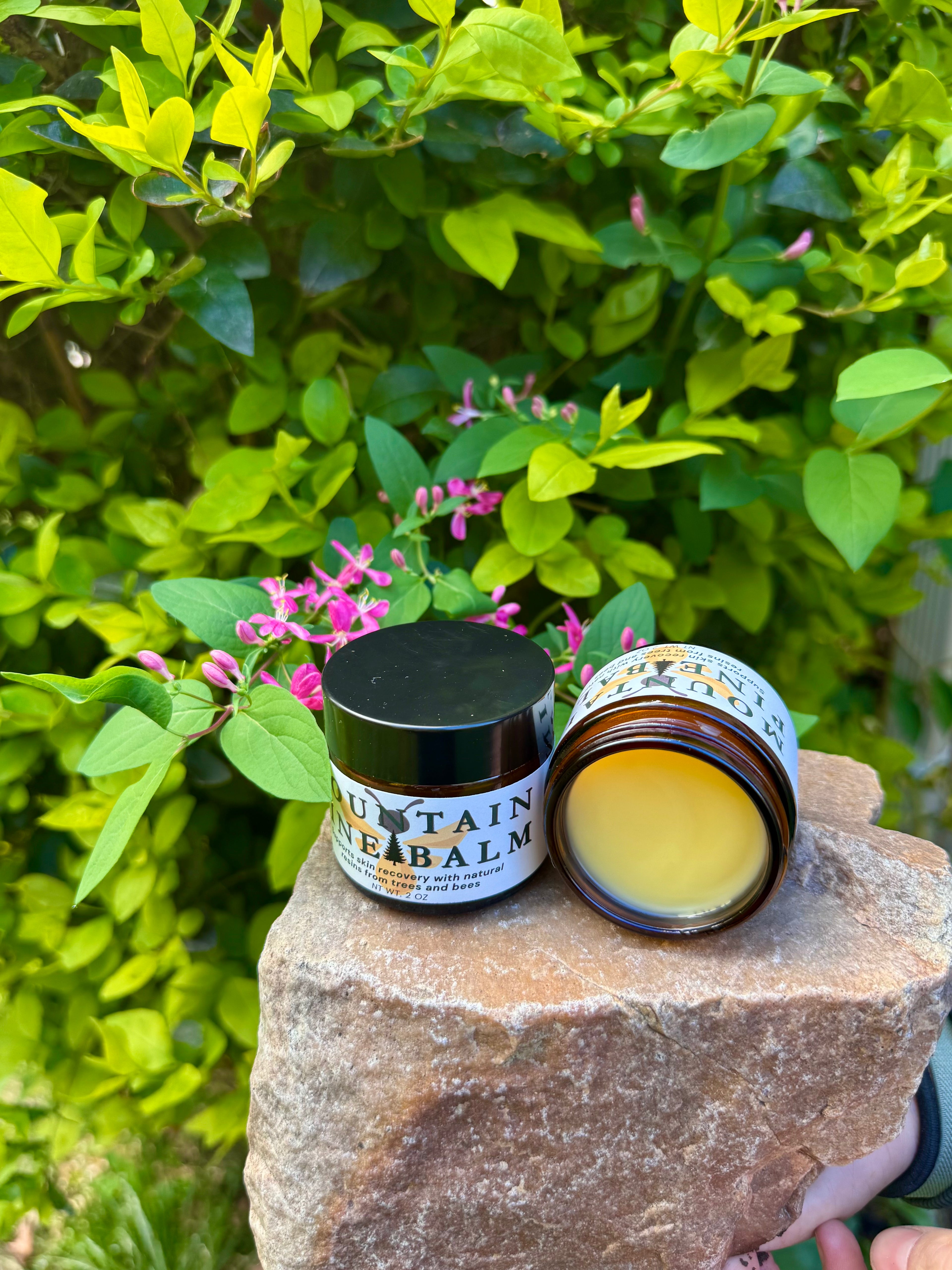 Mountain Pine Balm (Topical Salve)