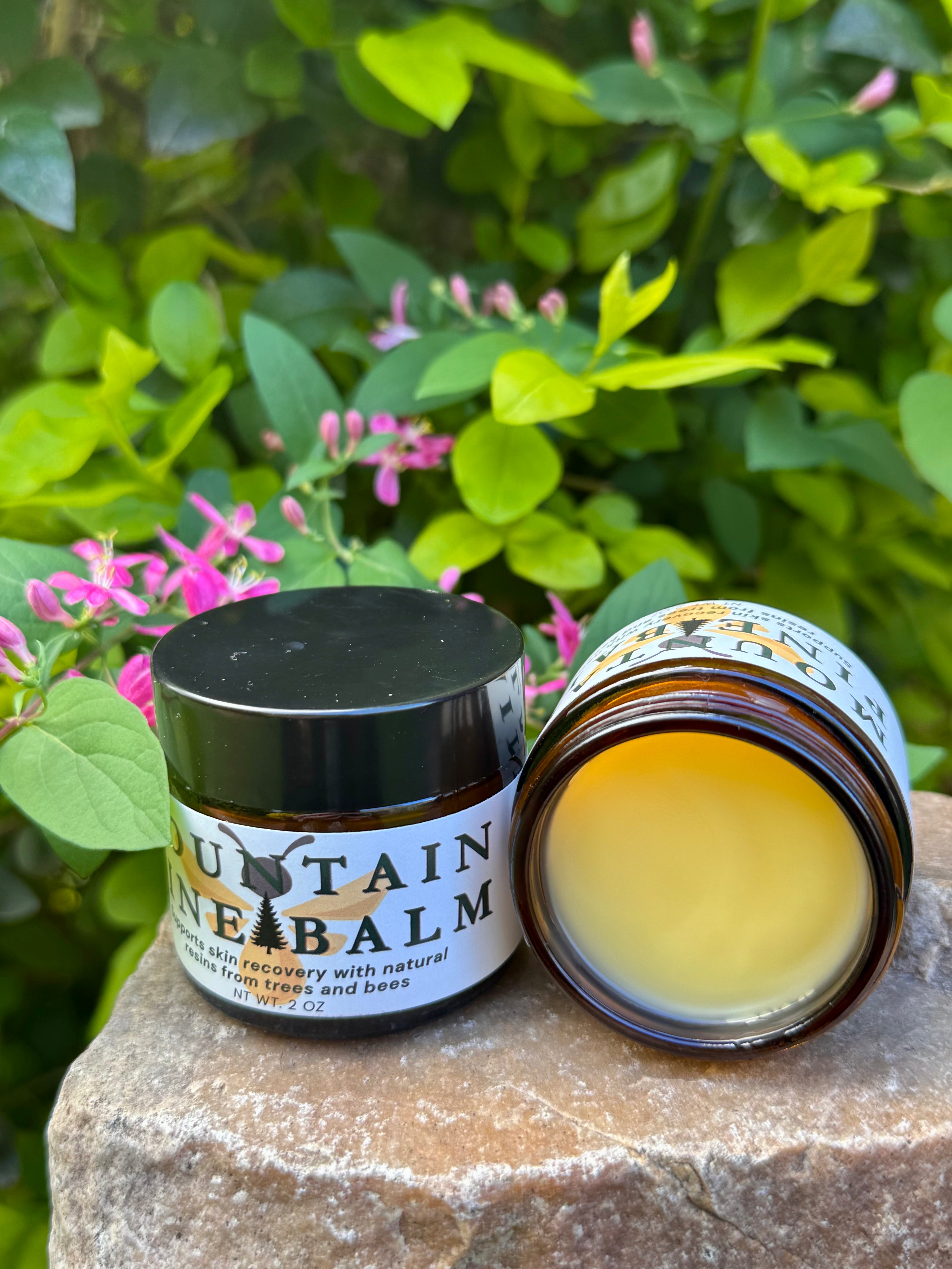 Mountain Pine Balm (Topical Salve)