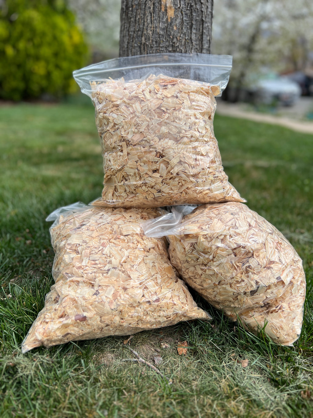 Premium Pine Smoker Fuel