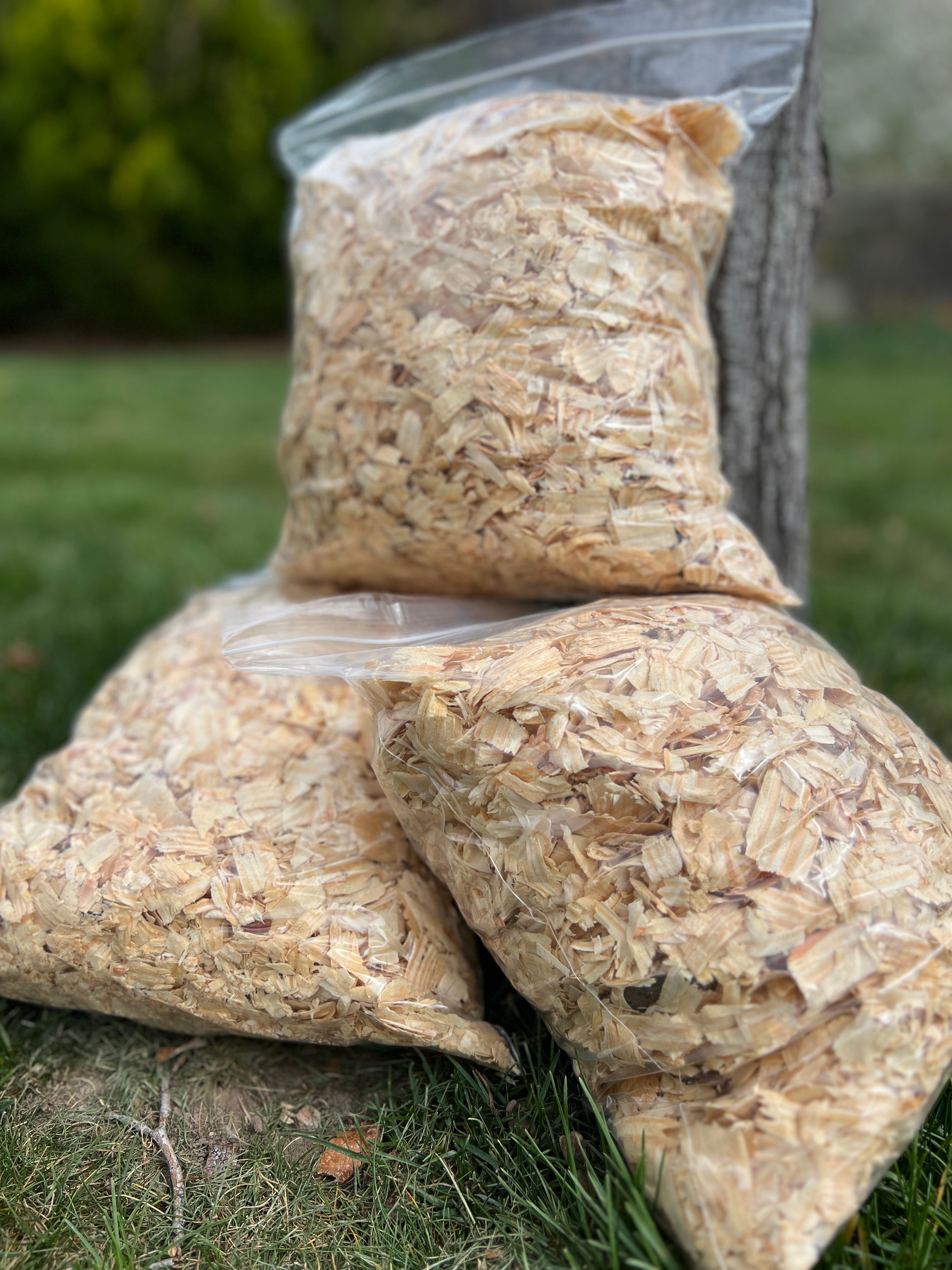 Premium Pine Smoker Fuel