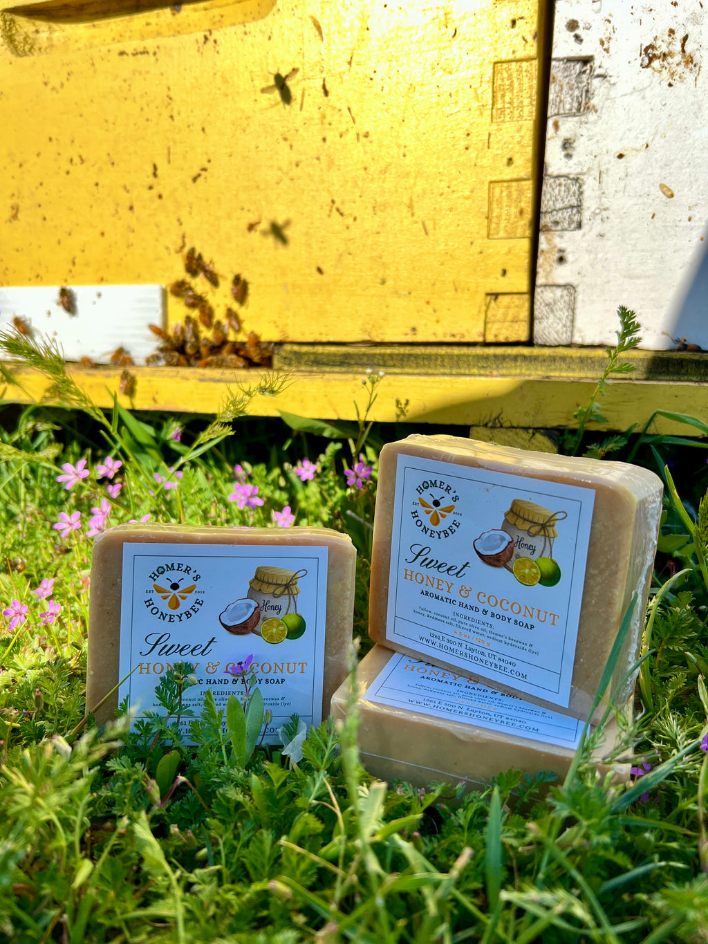 Raw Honey Coconut Beeswax Soap