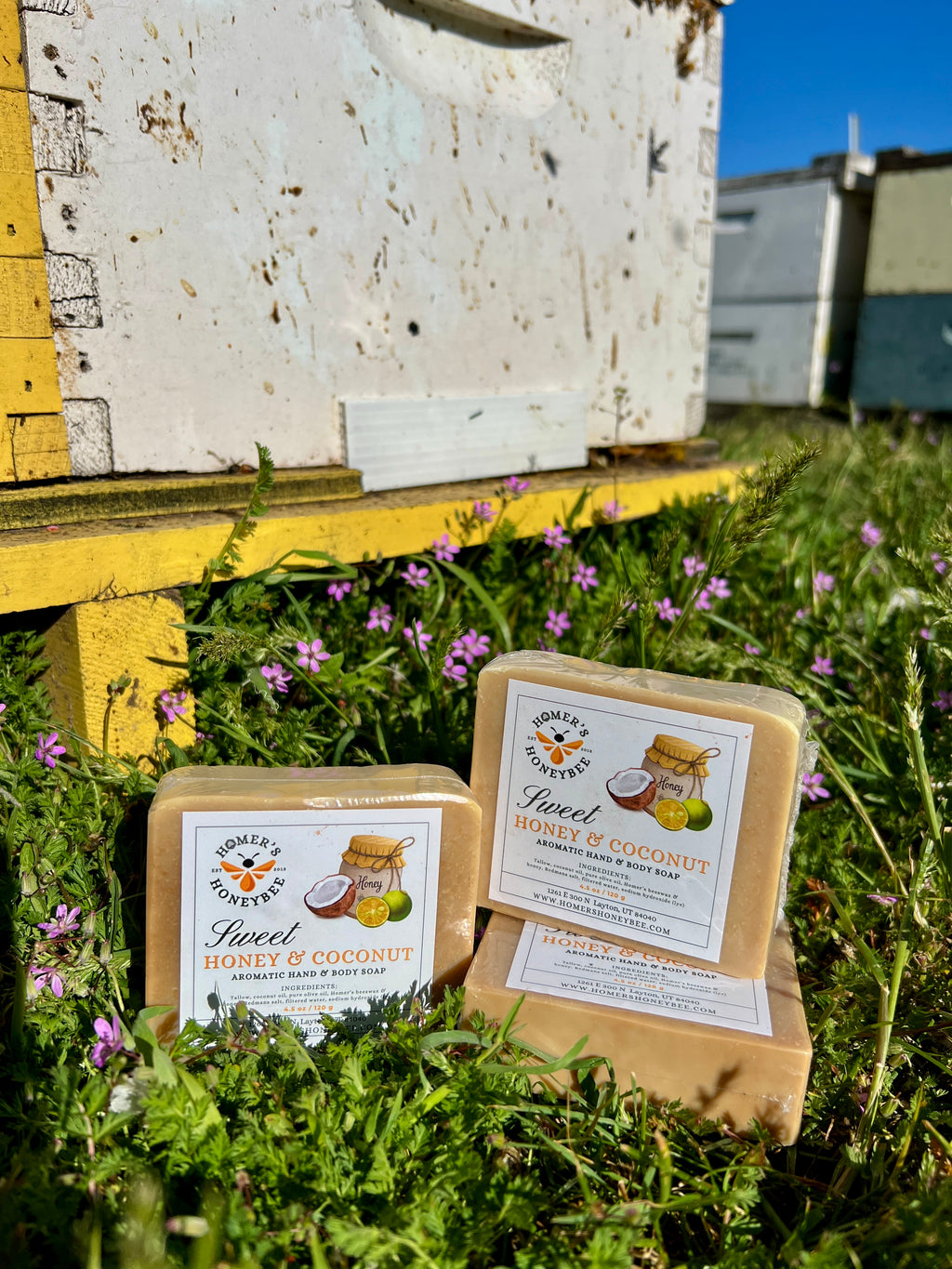 Raw Honey Coconut Beeswax Soap