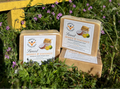 Sweet Honey & Coconut Soap