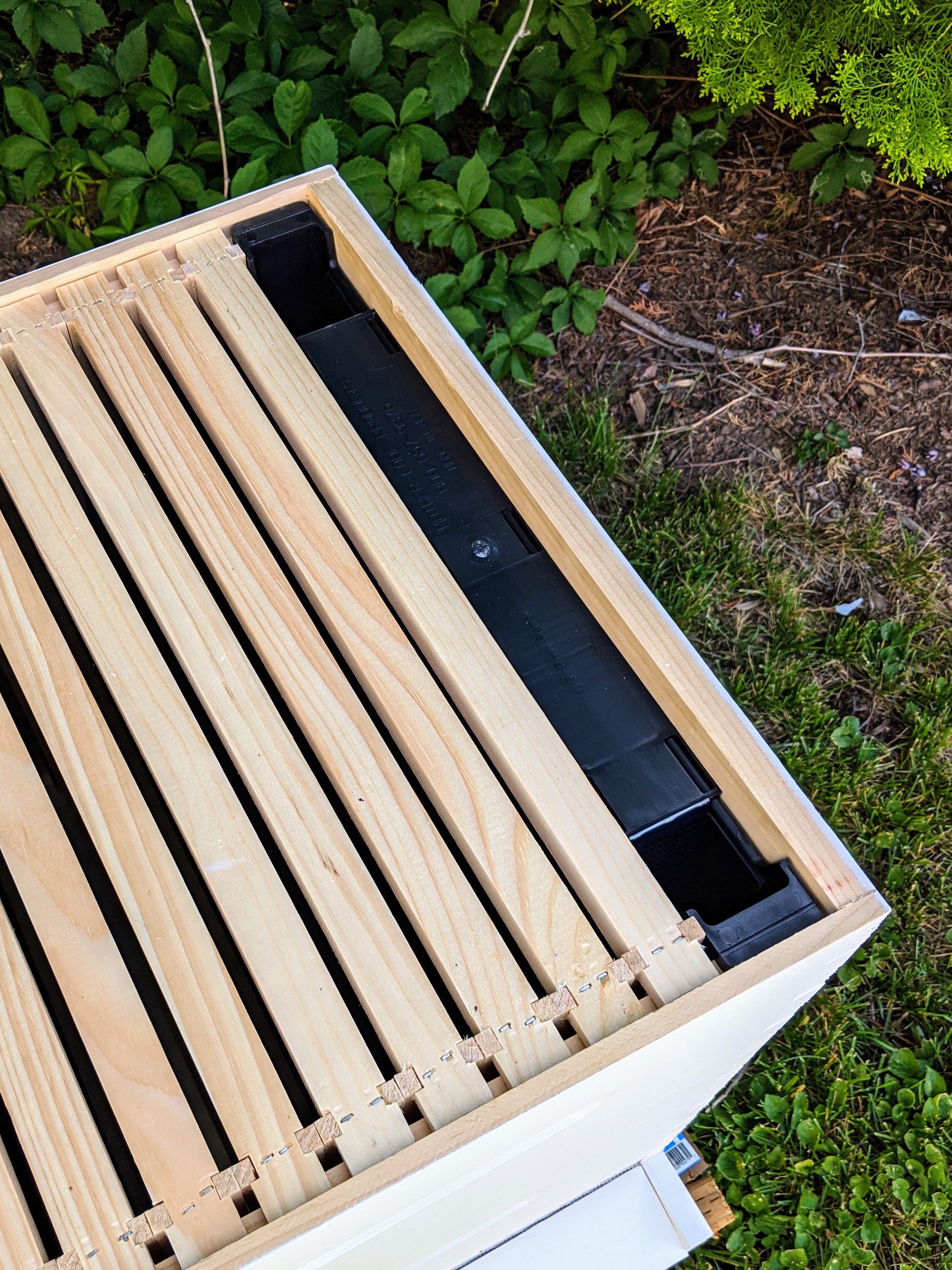 Inline Feeder image 1