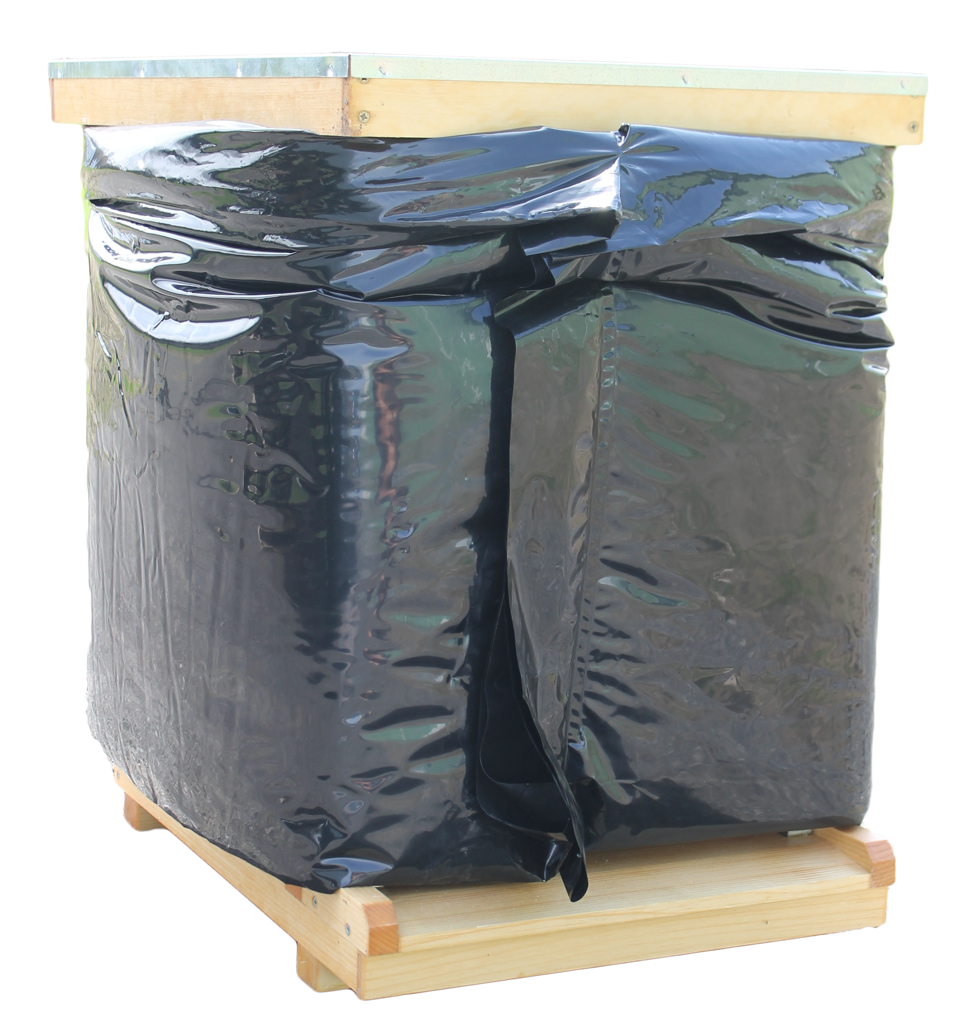 Bee Cozy (2 Deeps) image 0