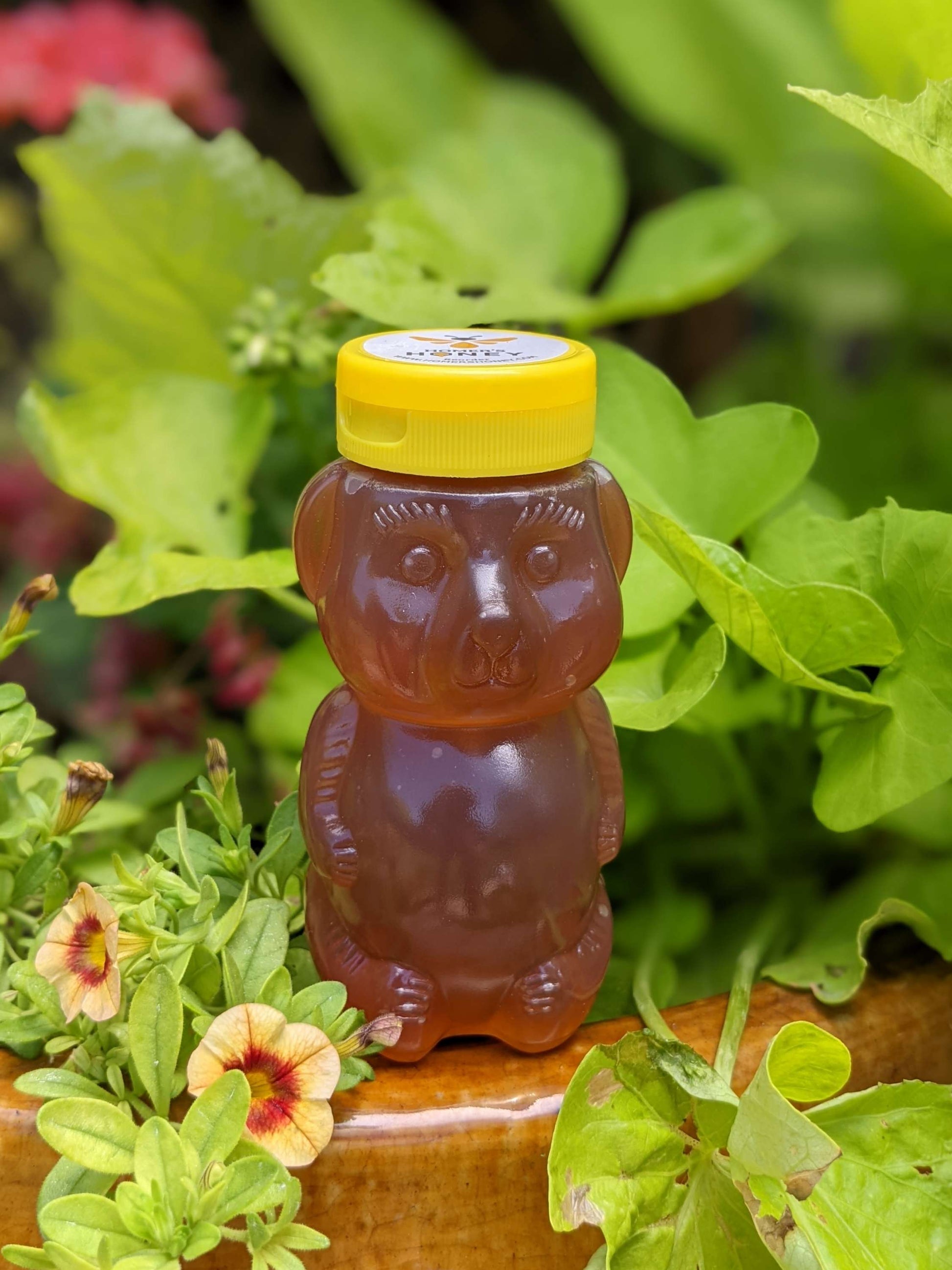 Northern Utah Raw Honey - 8 oz. image 0
