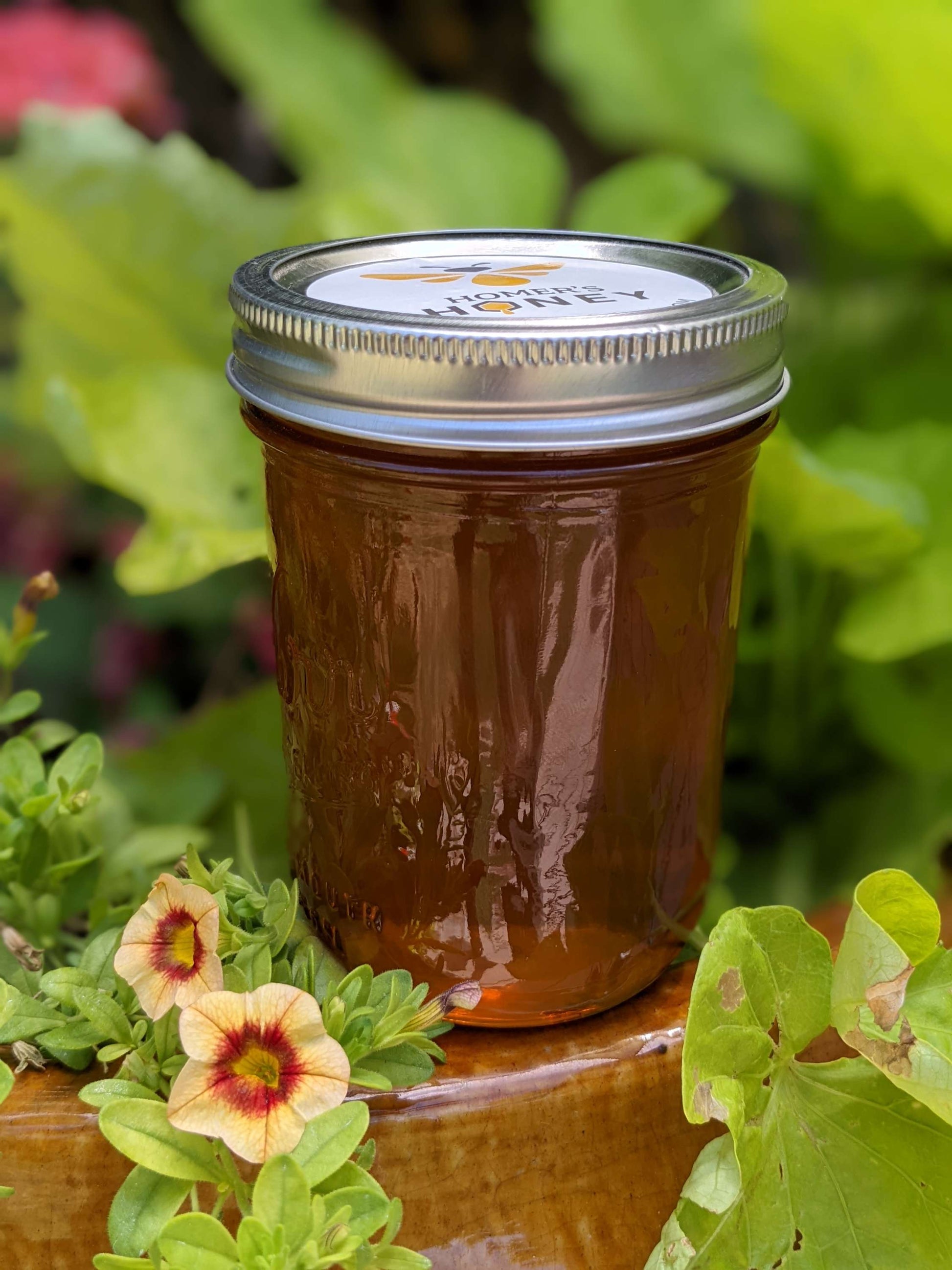 Northern Utah Raw Honey - 22 oz. image 0