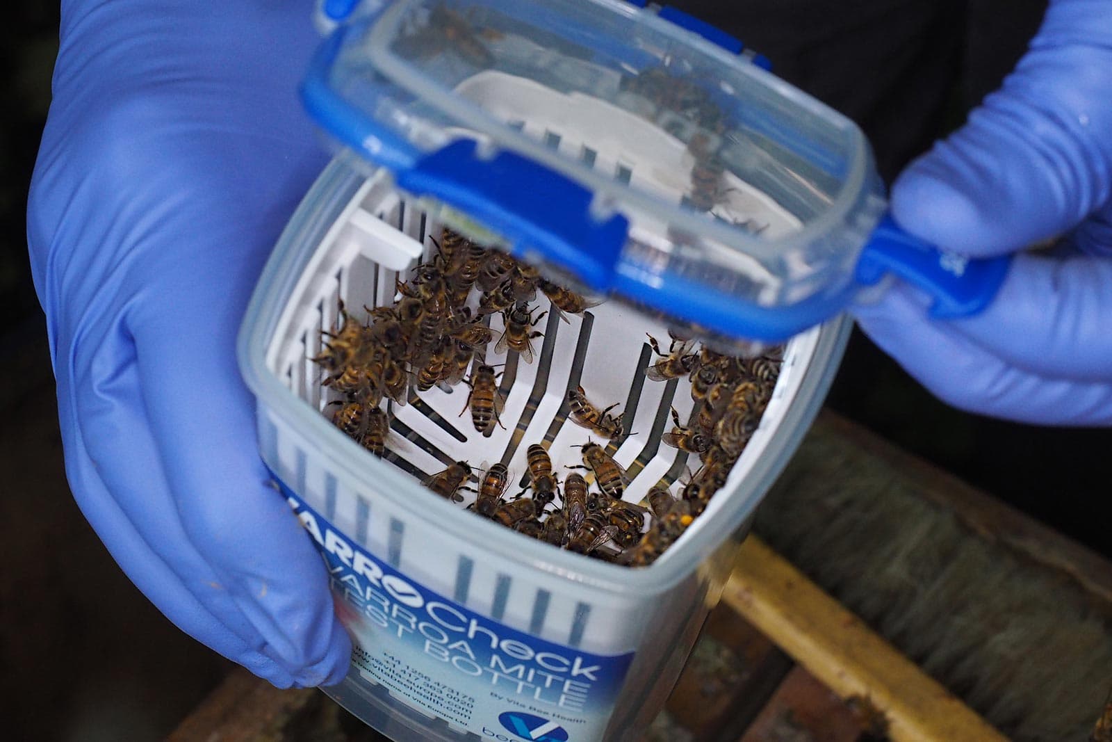 VarroCheck Varroa Mite Testing Kit