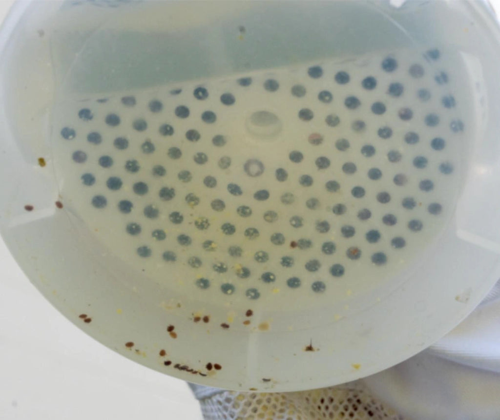 Varroa EasyCheck - Mite Test